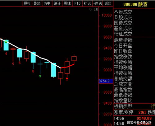 指数基金定投20年利弊,指数基金定投能赚到钱吗