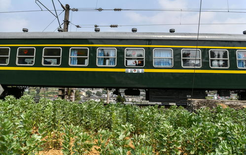 公交加密班次 城轨增开列车