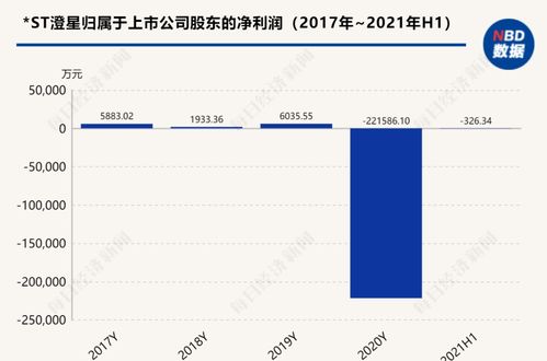 st澄星是做什么的 公司业务介绍如下