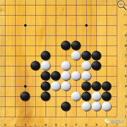 下好基础科研先手棋