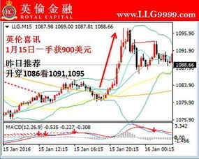 金融市场的期货现货按什么划分交易？