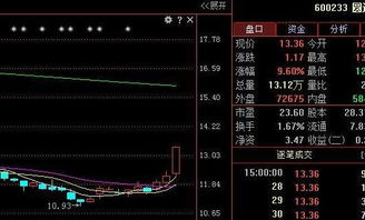 大健云仓盘中异动 快速拉升5.63%