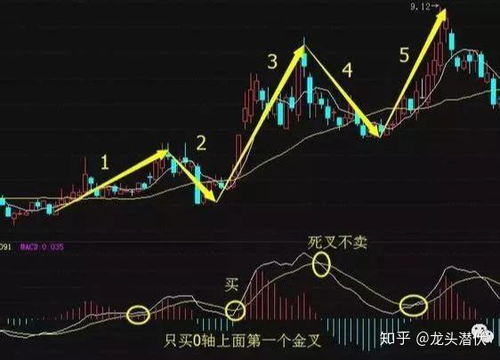 mcst指标是什么 mcst指标详解