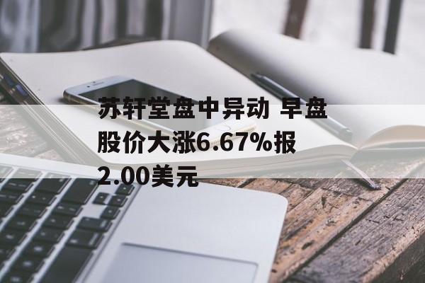 苏轩堂盘中异动 早盘股价大涨6.67%报2.00美元