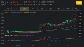 国际金价创近六年新高 业内人士：可借道黄金主题基金布局金矿股