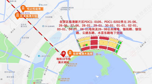 险企布局临港新片区 三方面助力上海自贸区发展