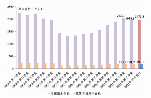 10月能繁母猪环比增长0.6% 为去年4月以来首次增长