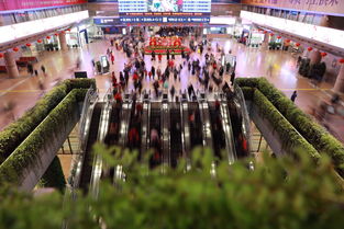 40天春运广东预计发送旅客2亿人次 节前客流高峰或出现在1月20日至23日