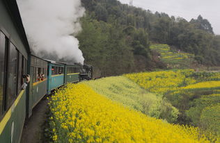 京郊第二列“开往春天的列车”怀柔段今春造美景