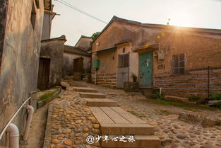 白云田心村已拆除村民房屋284栋 唯一历史文化遗产动工迁建