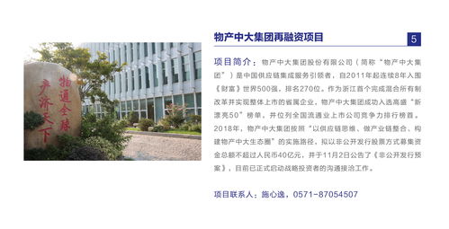 中国有色集团在上海产权市场推出混改项目