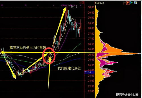 跌停股卖不出去咋办 可以这样操作